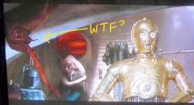 WTF.jpg