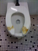 Toilet Seat.jpg