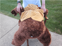 Screen shot 2012-10-13 at 1.41.41 AM.png