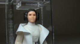 EB Leia.jpg