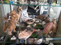 20130324_101106.jpg