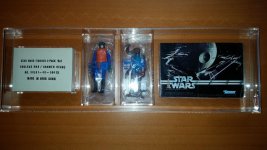 Walrus&Hammer 01.jpg