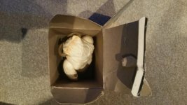 20160229_213324.jpg