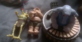 WP_20160509_008.jpg