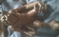WP_20160509_009.jpg