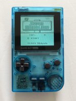 IMG_0923.jpeg