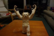 DSC06880.JPG
