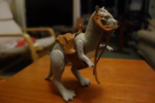 DSC06896.JPG