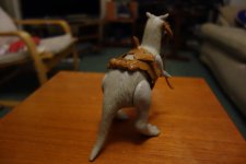 DSC06897.JPG