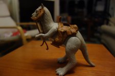 DSC06898.JPG