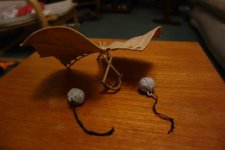 DSC06891.JPG