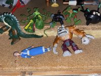 IMG_8349.jpg