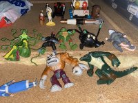 IMG_8350.jpg