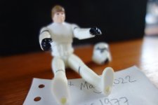 DSC07250.JPG