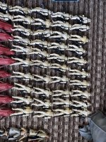 IMG_1137.jpg