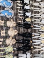 IMG_2601.jpg