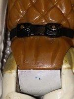 IMG_3973.jpg