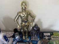 IMG_7664.jpg