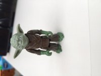 image.jpeg
