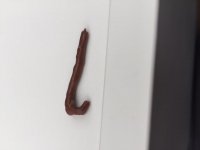 image.jpeg