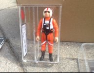 image.jpeg