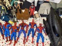 IMG_2474.jpeg