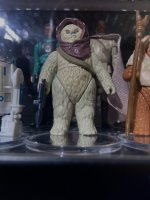 IMG_8050.jpeg