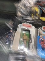 IMG_3950.jpeg