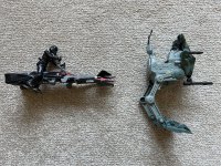 IMG_0231.jpeg IMG_0231.jpeg