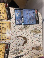 IMG_4522.jpeg