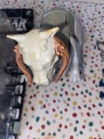 IMG_4543.jpeg