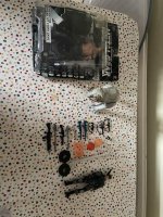IMG_4534.jpeg
