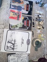 IMG_5923.jpeg