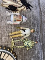 IMG_5918.jpeg
