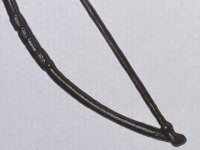 IMG_6061.jpeg