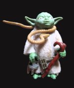 SWF YODA (1).JPG