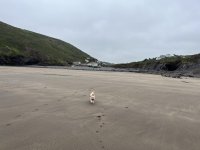 IMG_2582.jpeg