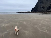 IMG_2580.jpeg
