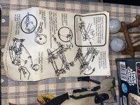 IMG_6546.jpeg