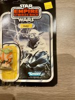 IMG_7254.jpeg IMG_7254.jpeg