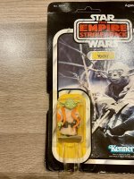 IMG_7255.jpeg IMG_7255.jpeg