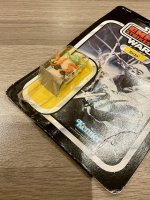 IMG_7257.jpeg IMG_7257.jpeg