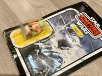 IMG_7258.jpeg IMG_7258.jpeg