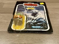 IMG_7259.jpeg IMG_7259.jpeg