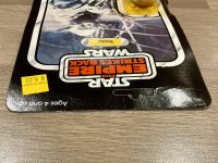 IMG_7260.jpeg IMG_7260.jpeg