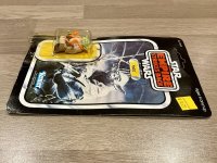 IMG_7262.jpeg IMG_7262.jpeg