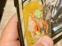 IMG_7264.jpeg IMG_7264.jpeg