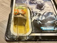 IMG_7268.jpeg IMG_7268.jpeg