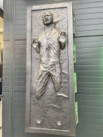 IMG_8929.jpeg