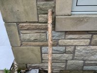 IMG_1364.jpeg